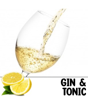 Gin & Tonic 1l (stáčené včetně lahve)