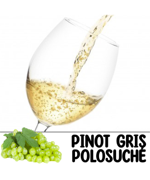 Pinot Gris - Polosuché 1l (včetně PET lahve)