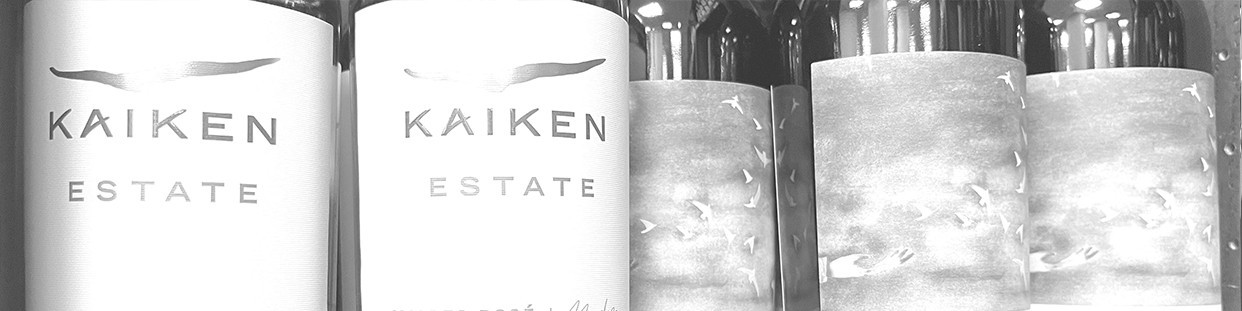 DRINK&WINE I Argentýnská vína I Vinotéka